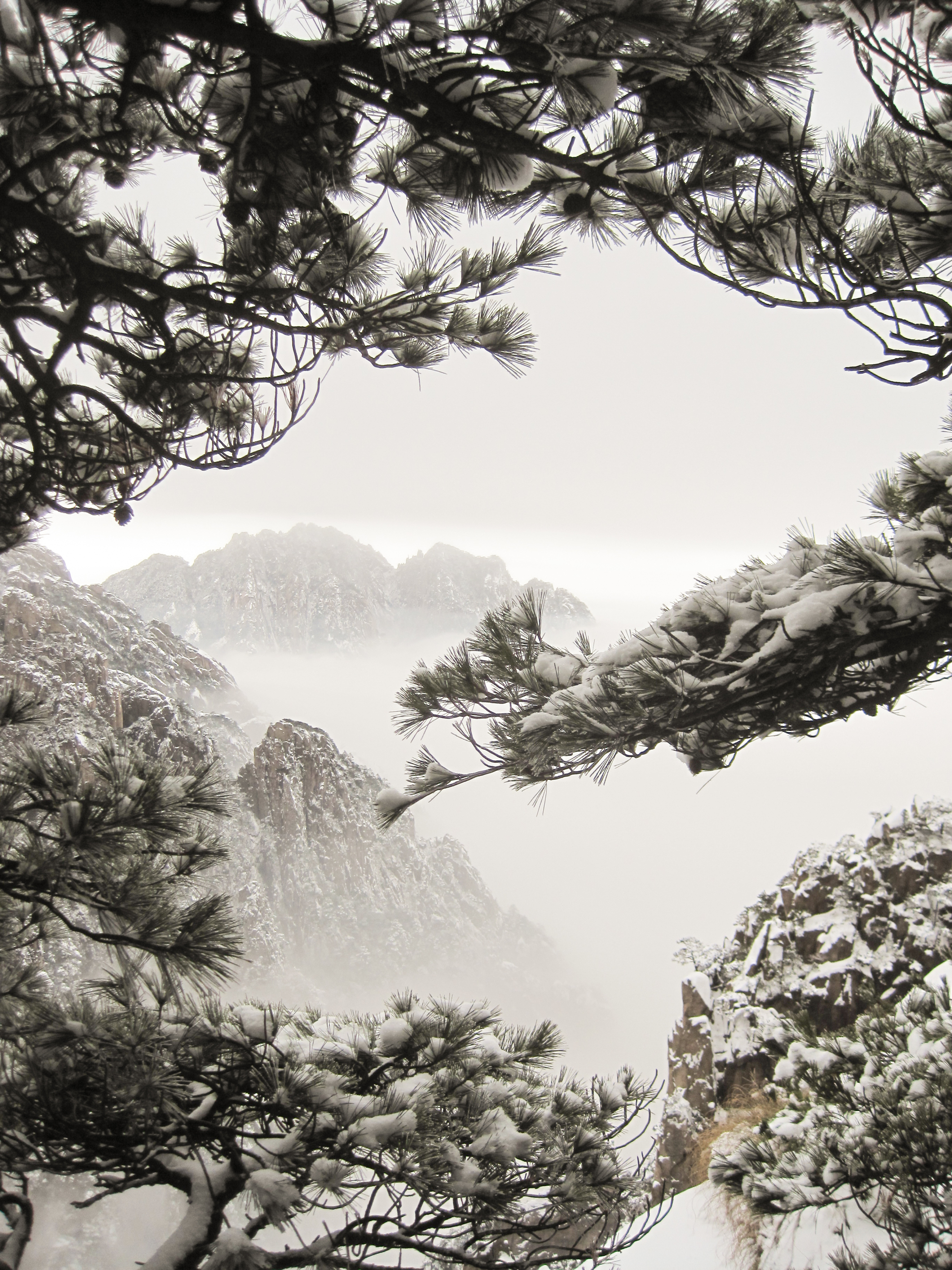 排雲亭,黃山觀雪最佳地,這才是最美的雪景