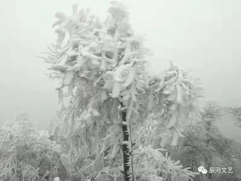 太美了隆回今冬第一场雪下得越来越大了