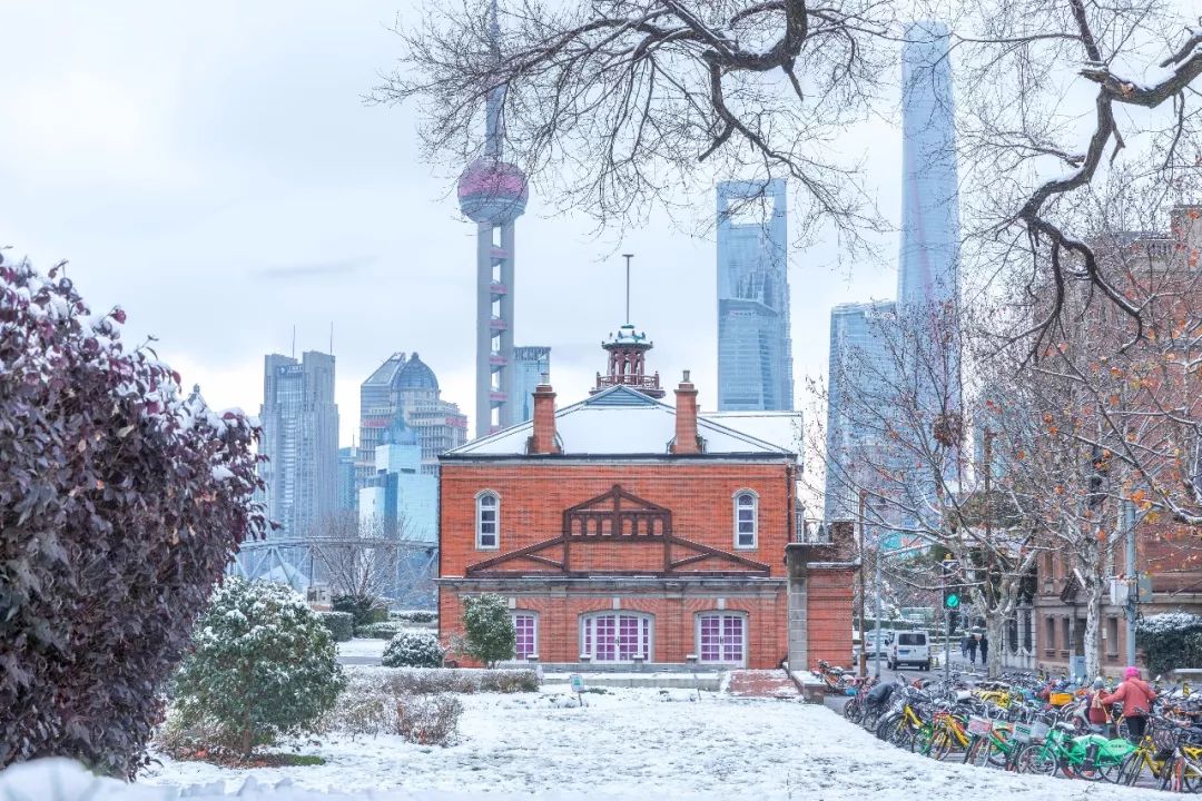 期待中的雪花不期而至魔都今夜雪更大局部積雪12釐米