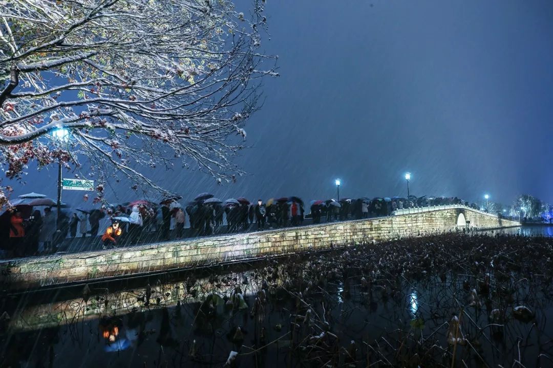 今天,断桥全是人人人!杭州跑友绕西湖暴走2万步拍雪!这才是人间仙境