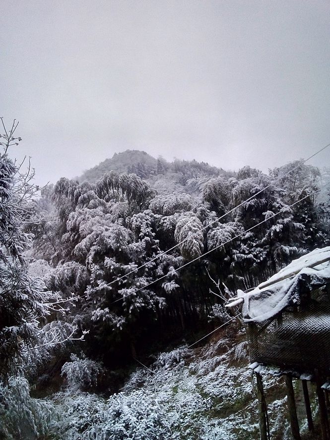 宜宾附近下雪的景点图片