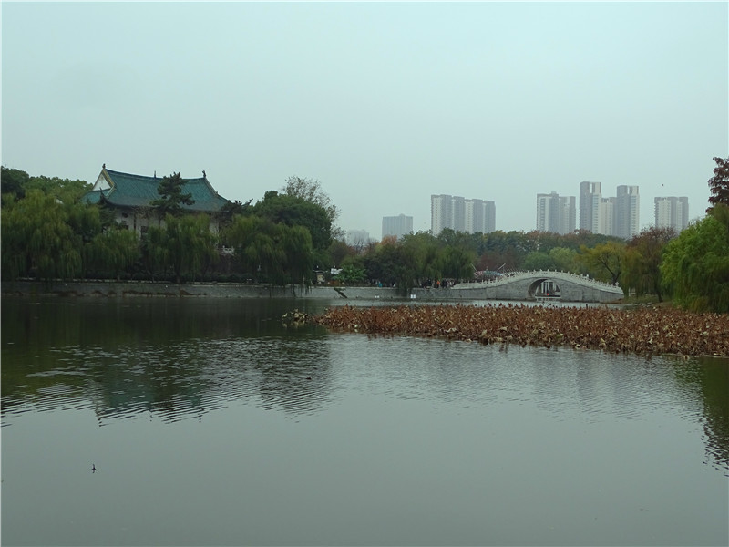 在武漢市區中心漢陽,有一個湖泊叫月湖,圍繞月湖建設了月湖風景區.