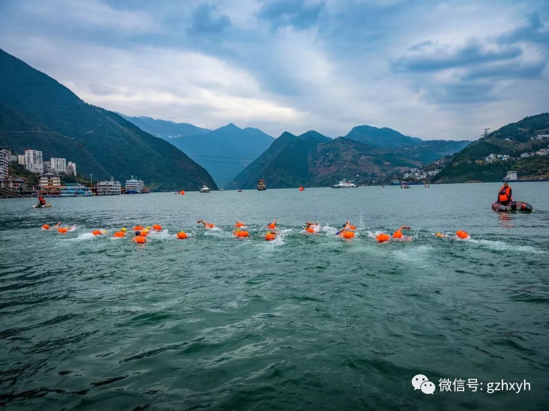 中國千餘名冬泳愛好者寒風中橫渡長江三峽