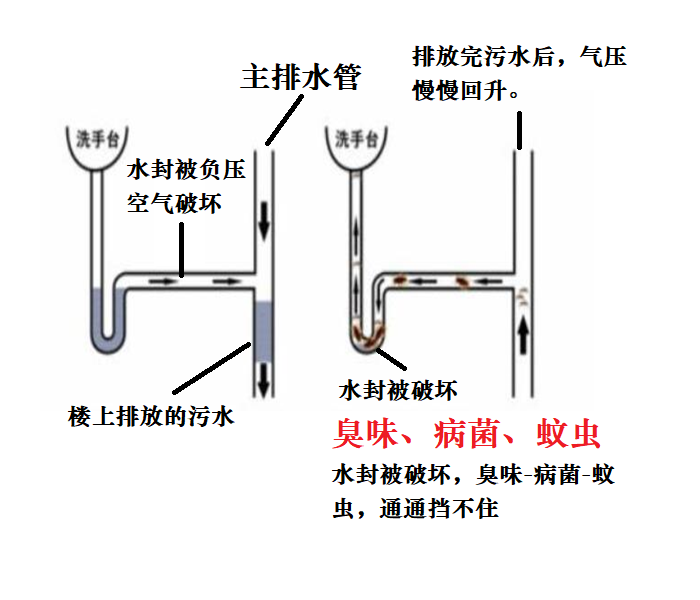 大家一定会问,为什么洗手盆已经有防臭弯头还会产生臭味呢?