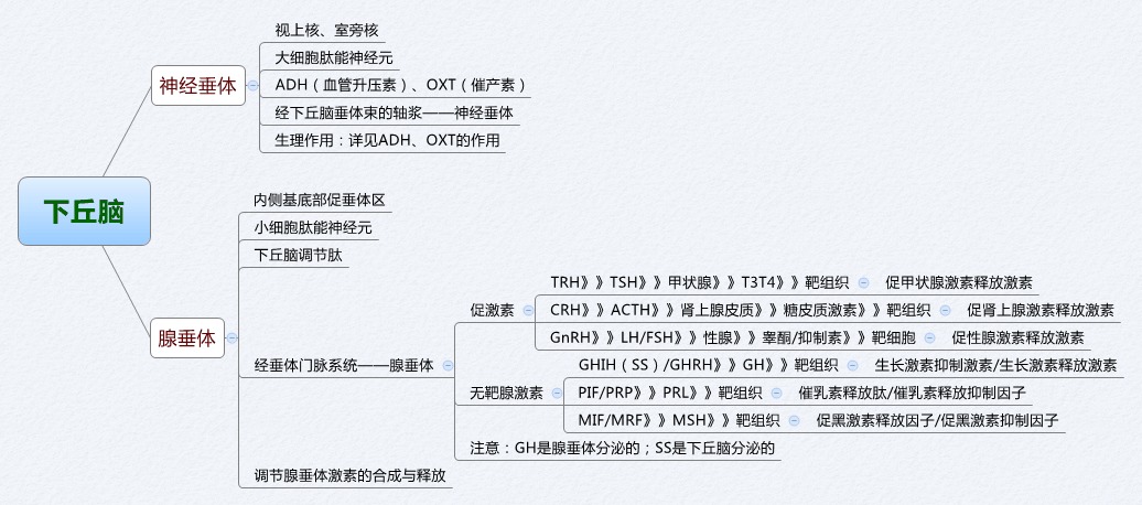 生理学思维导图医学生必备