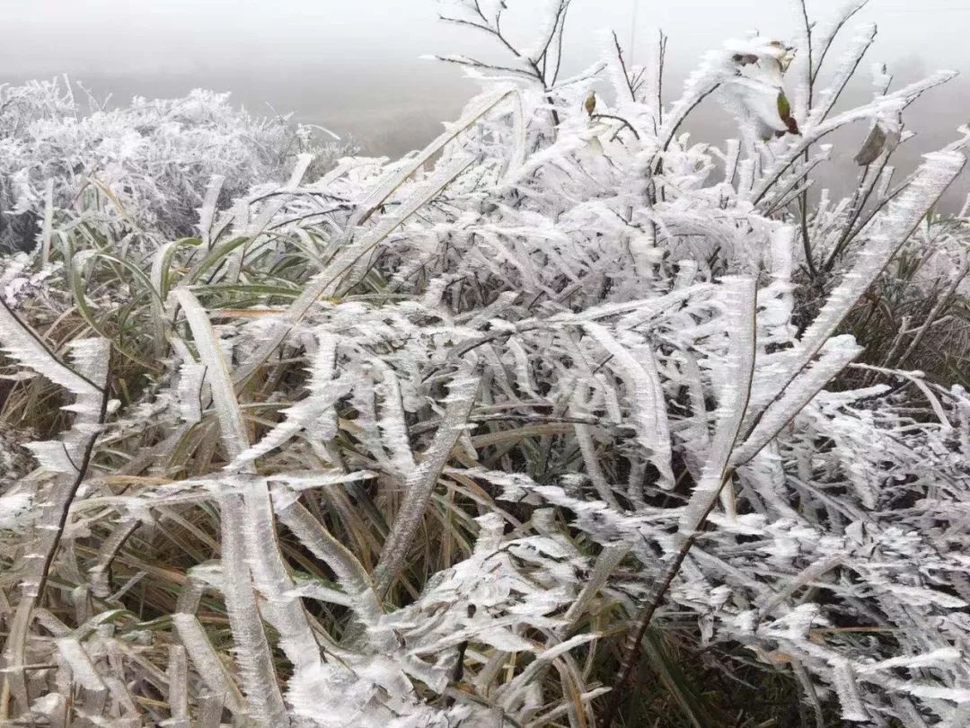 冻雨冰雪袭击黔南抗击凝冻黔南人挺住