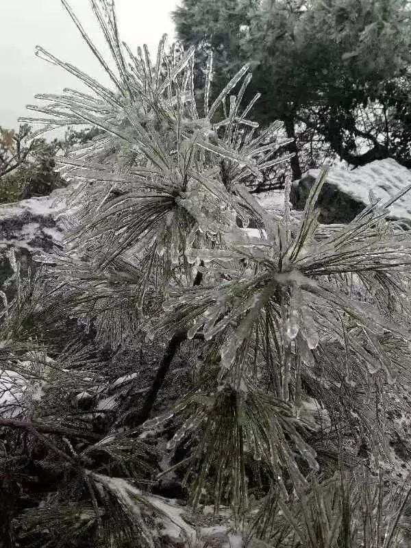 益阳下雪图片图片