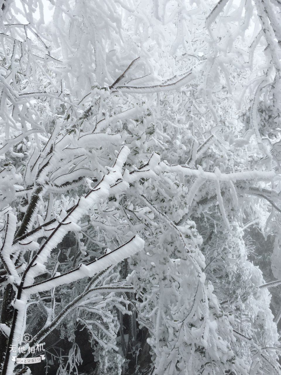 观雾山雪景图片