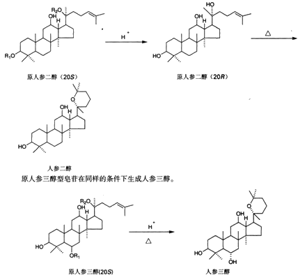 中药化学丨皂苷(研究实例)_人参