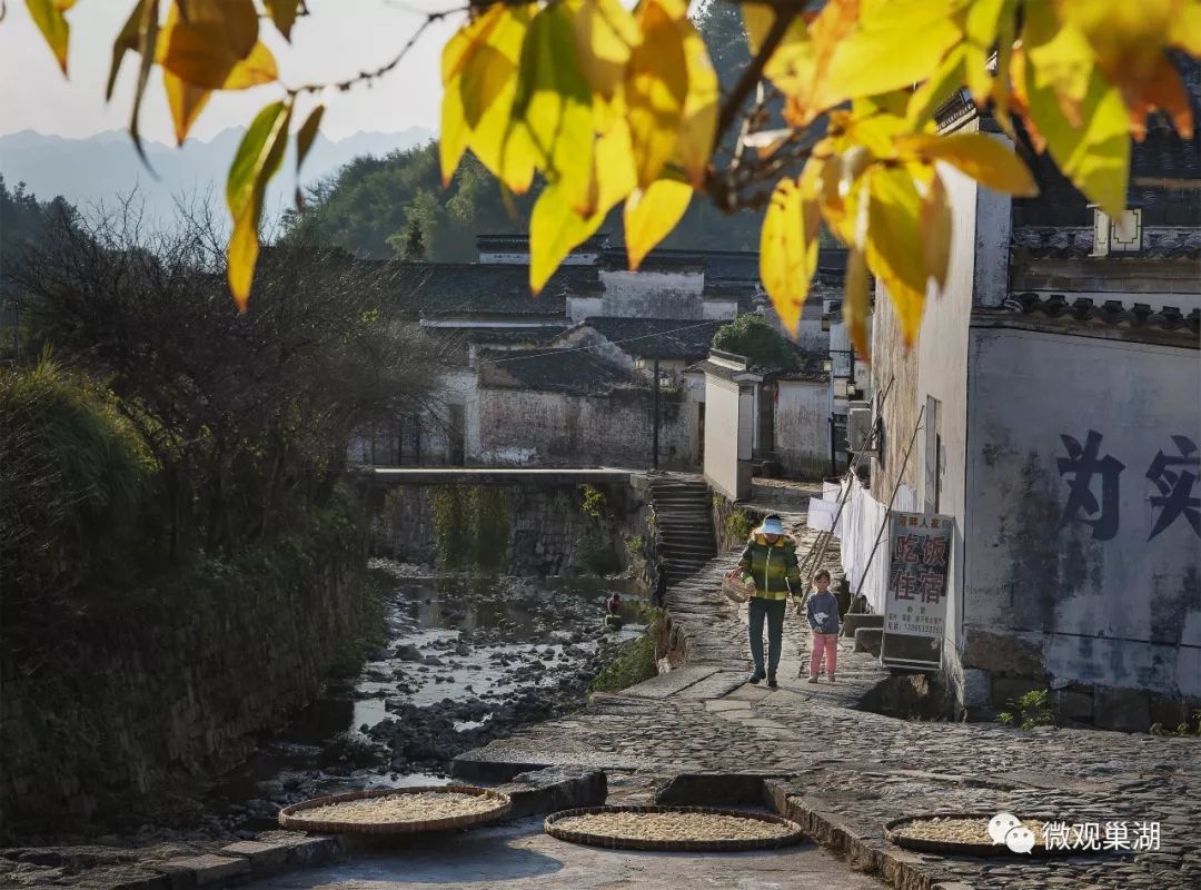 《农家乐》翟倩华朱树林《江南之秋》朱小明《黄田风光》祝海潮