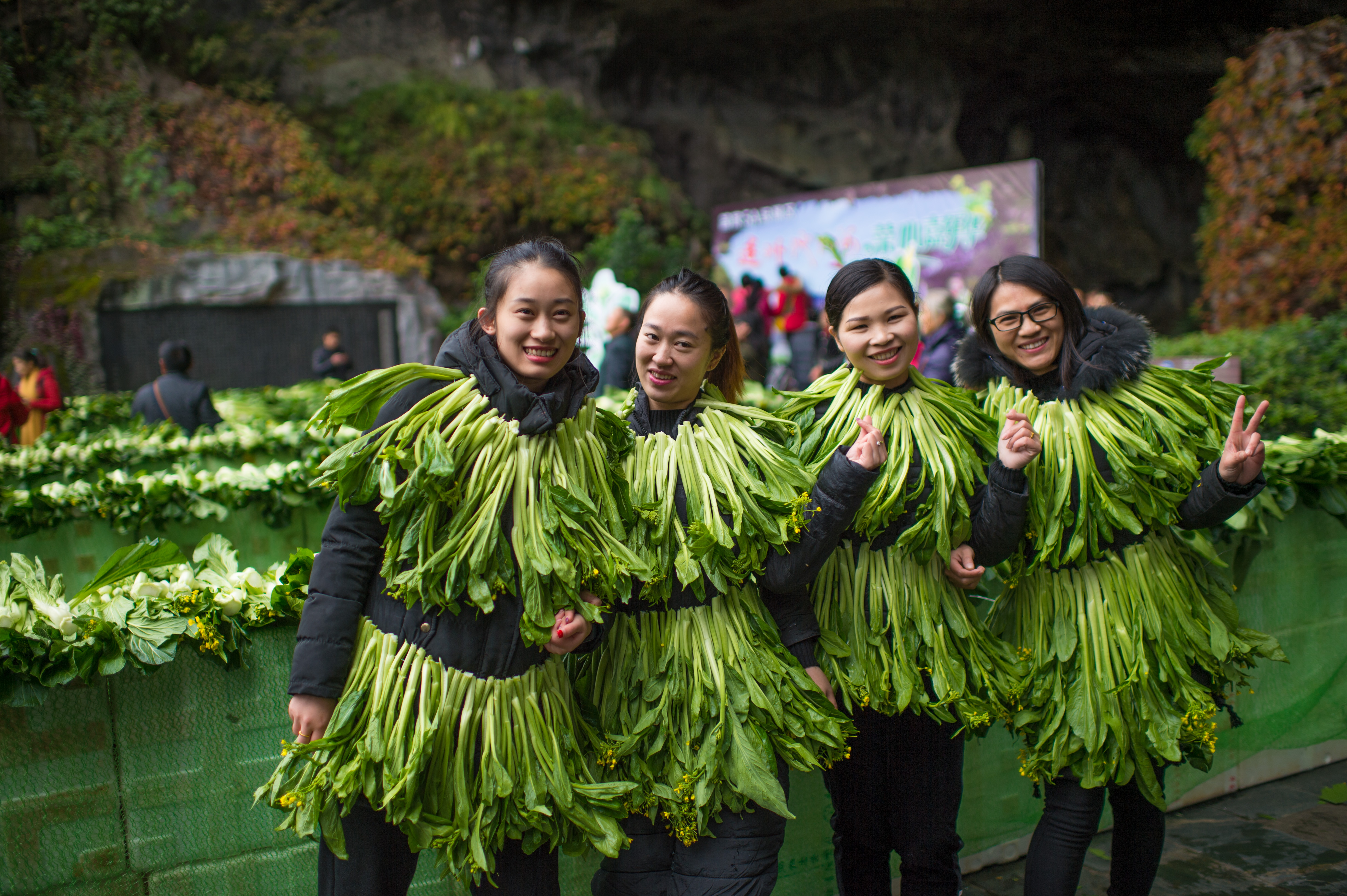 连州菜心节:5万斤菜心堆出6米宽连州菜心四个大字并全部赠送游客