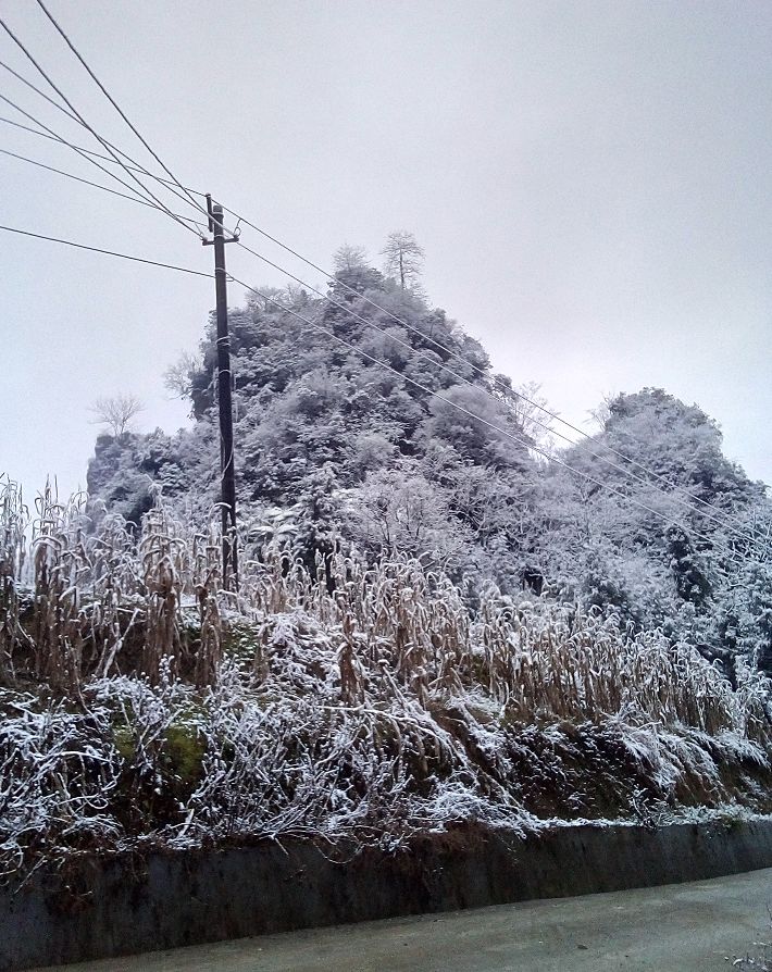 宜宾天宫山下雪了图片