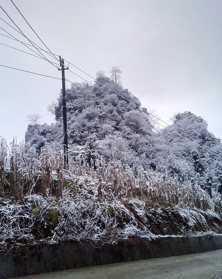 宜宾天宫山下雪图片