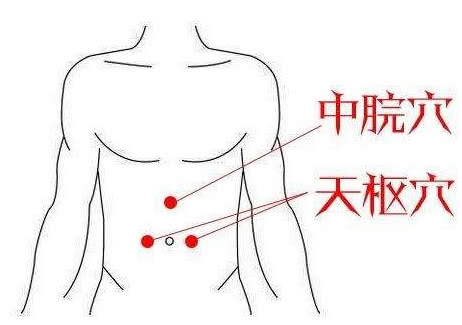 肚子的经络位置图图片