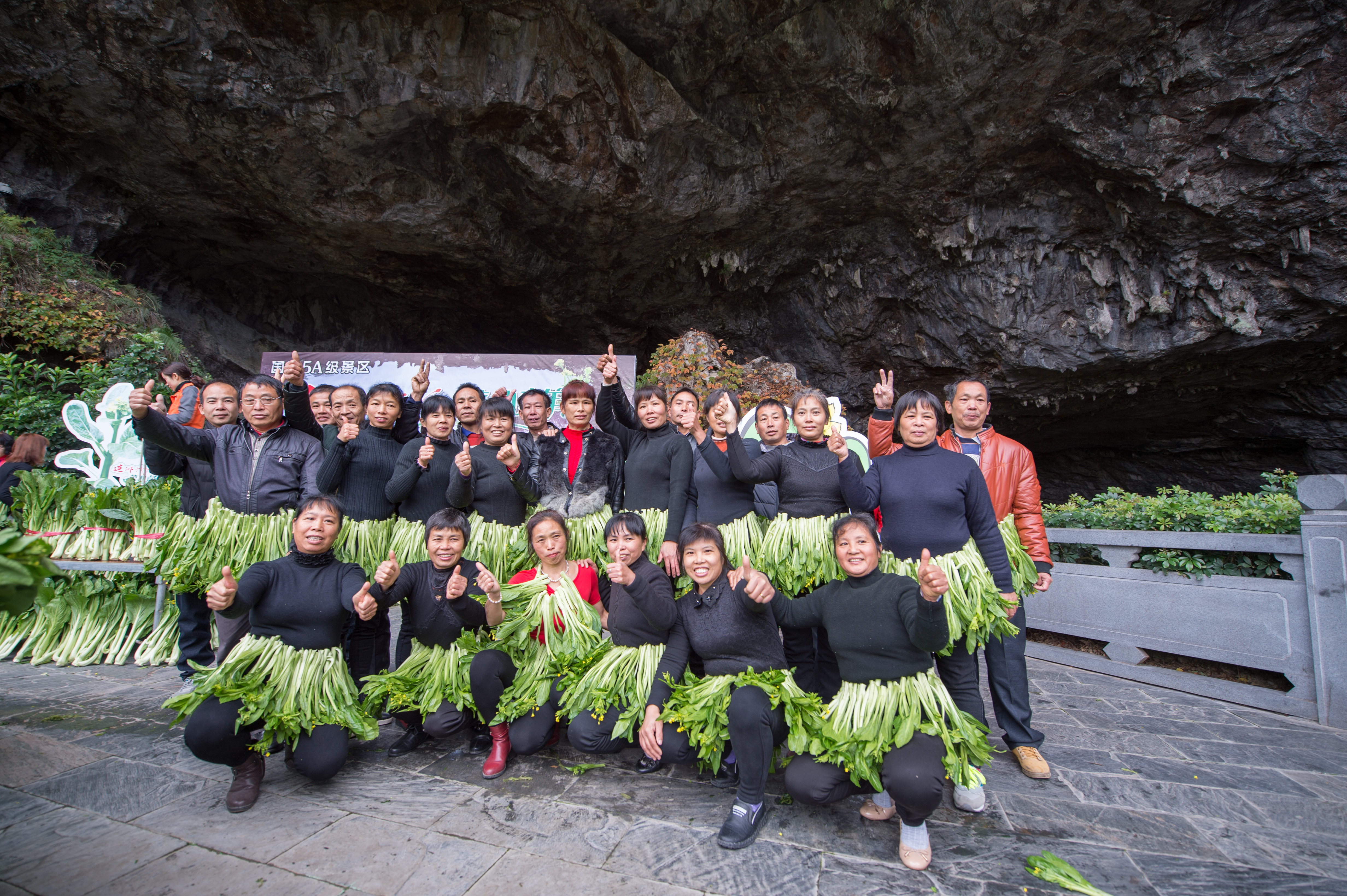 连州菜心节:5万斤菜心堆出6米宽连州菜心四个大字并全部赠送游客