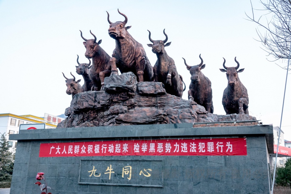 县城标志雕塑九牛同心,数来数去只有七头牛,怎么回事儿!