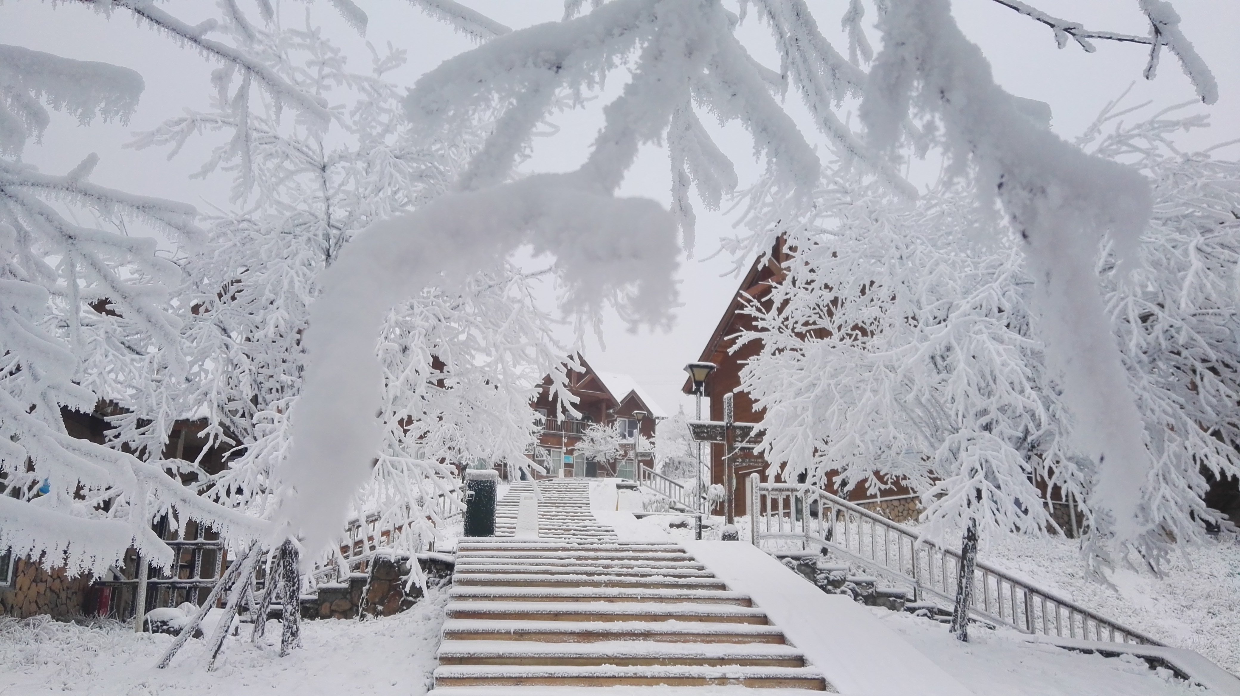 西岭飘雪图片