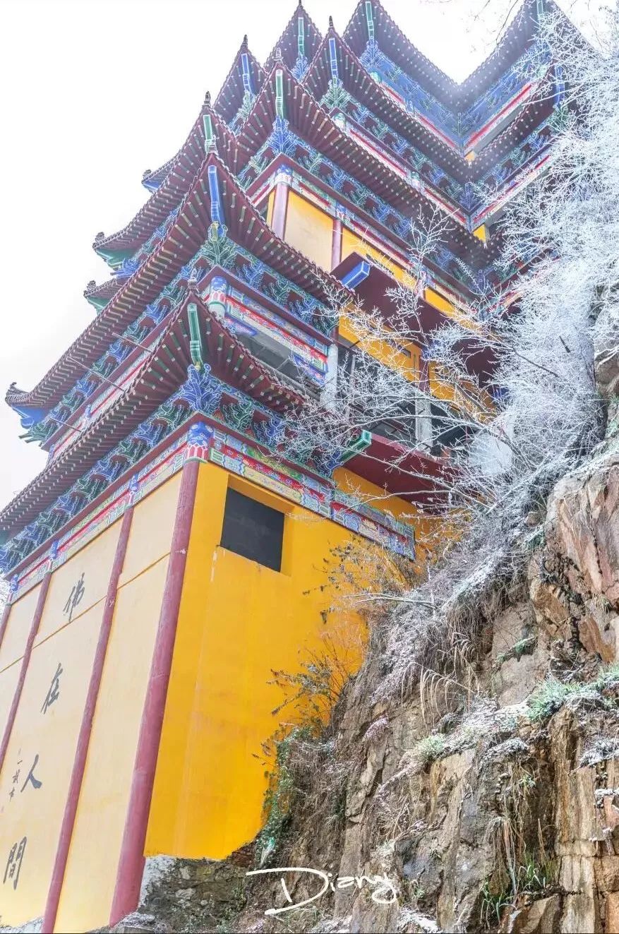 by周欣观赏提醒,横岗山桃树岭至寺庙区