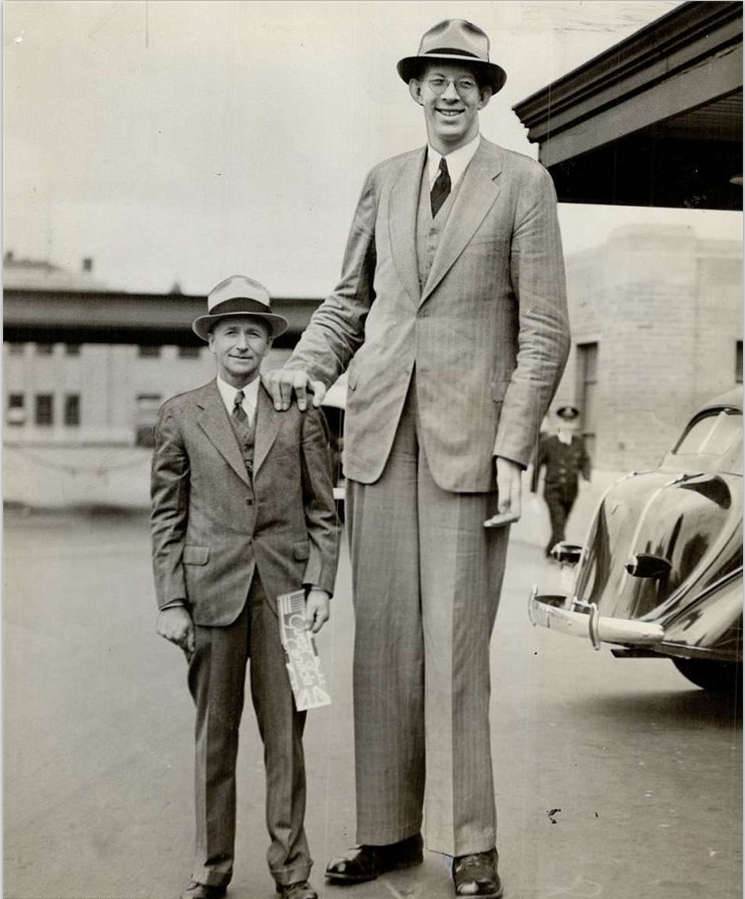 罗伯特身高272cm图片