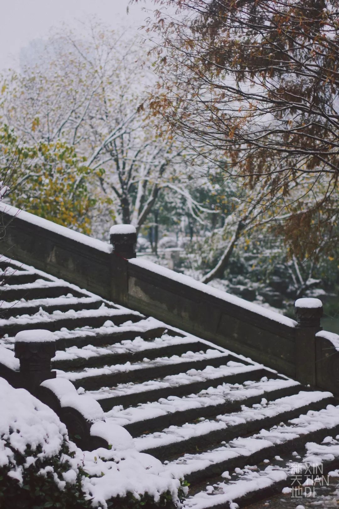 当千年上塘河遇上2018初雪丨临平新天地私藏雪景大放送