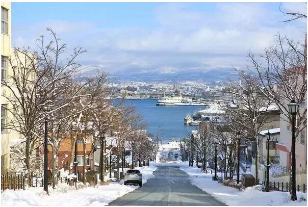 北海道冬日遊攻略,一起在北海道看最美雪景