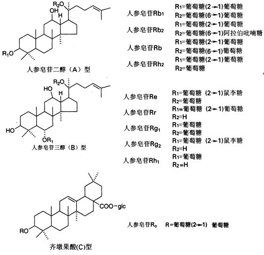 3.齐墩果酸型—c型:属于齐墩果烷型五环三萜衍生物.