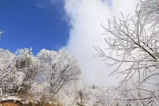 大雪過後 北川被這位老熟人