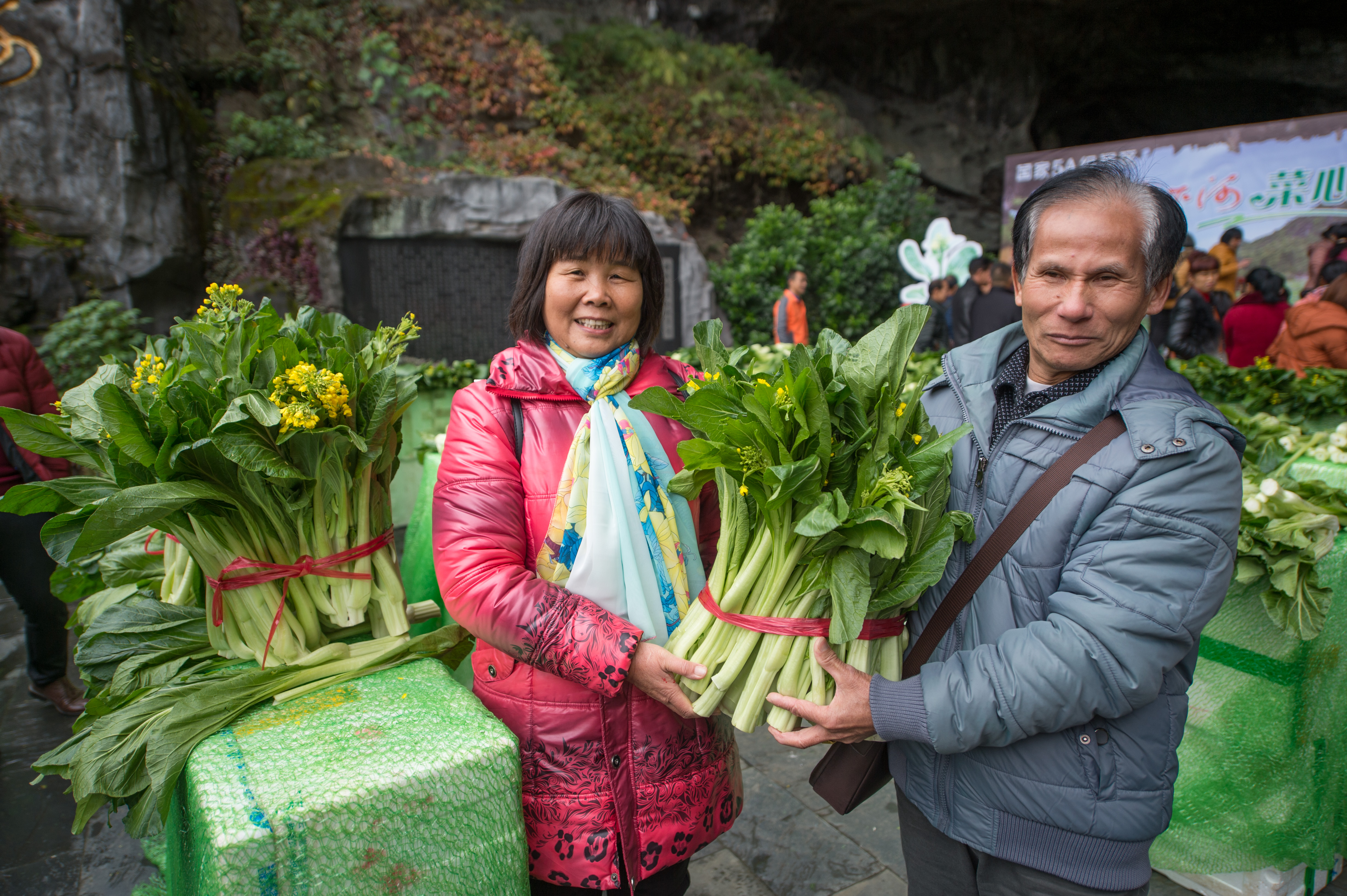 连州菜心节:5万斤菜心堆出6米宽连州菜心四个大字并全部赠送游客