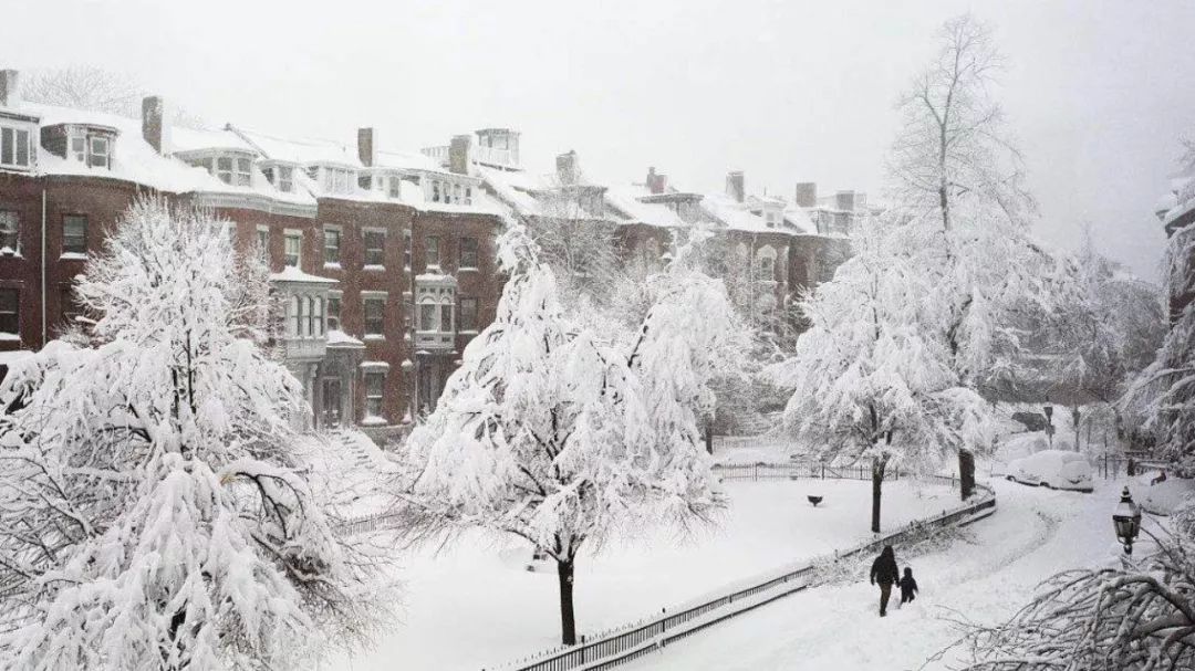 雪什么心成语