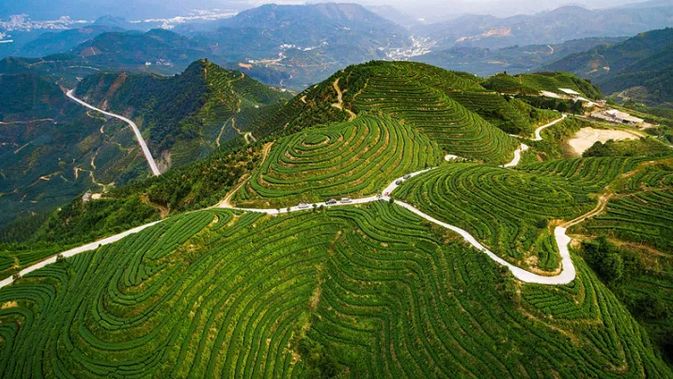 拿好這份最地道的平和旅遊路線攻略我在平和等你