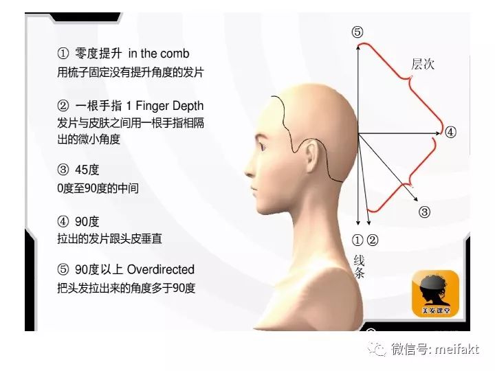 发型师必学经典剪发理论