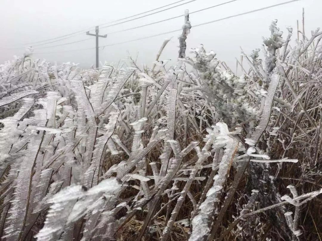 冻雨冰雪袭击黔南抗击凝冻黔南人挺住