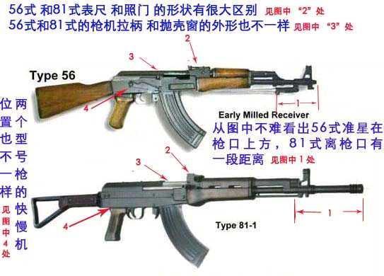 中国步枪发展史图谱图片