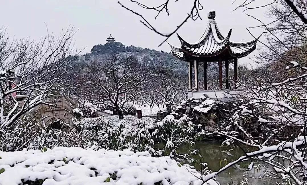 苏州雪景真实图片