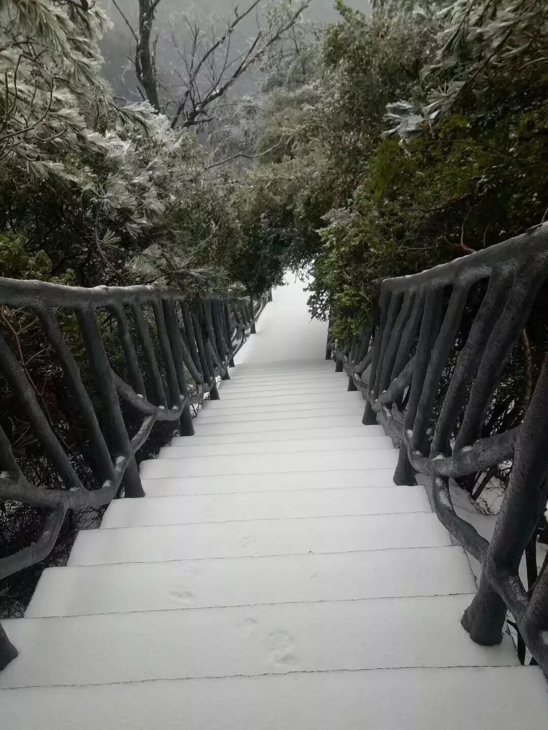 下雪了下雪了你看到益阳的雪了吗