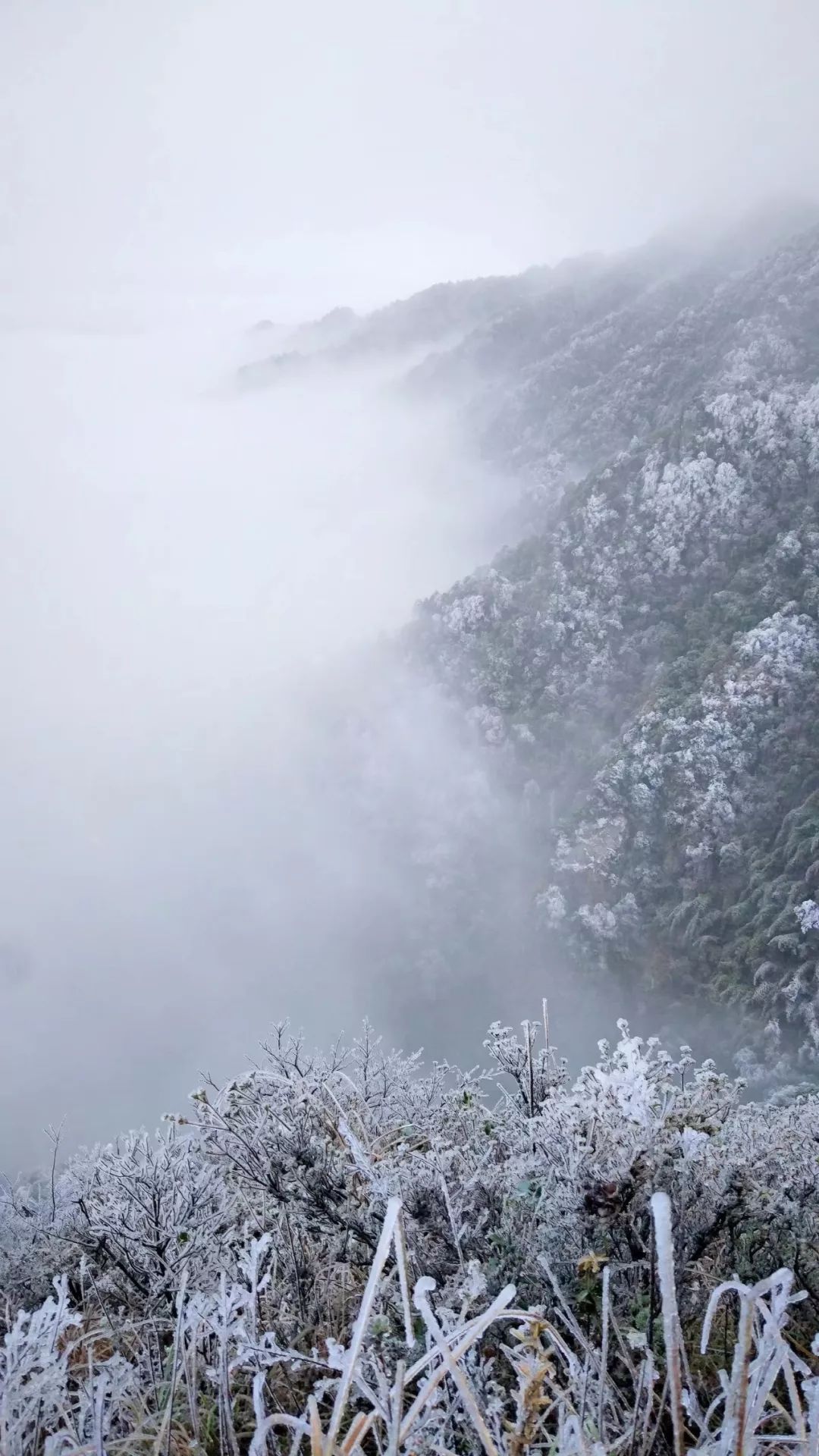 湖南永州下雪图片