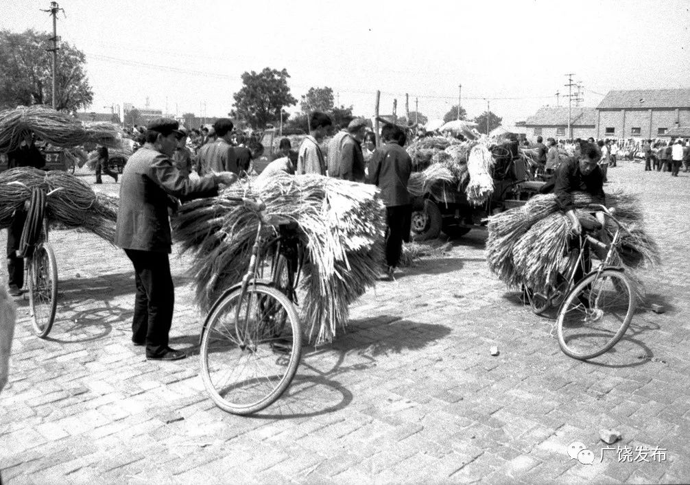 纪念改革开放四十周年影像见证这些老照片见证广饶40年农业变迁