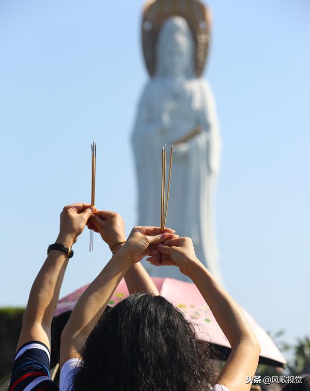 结拜香图片图片