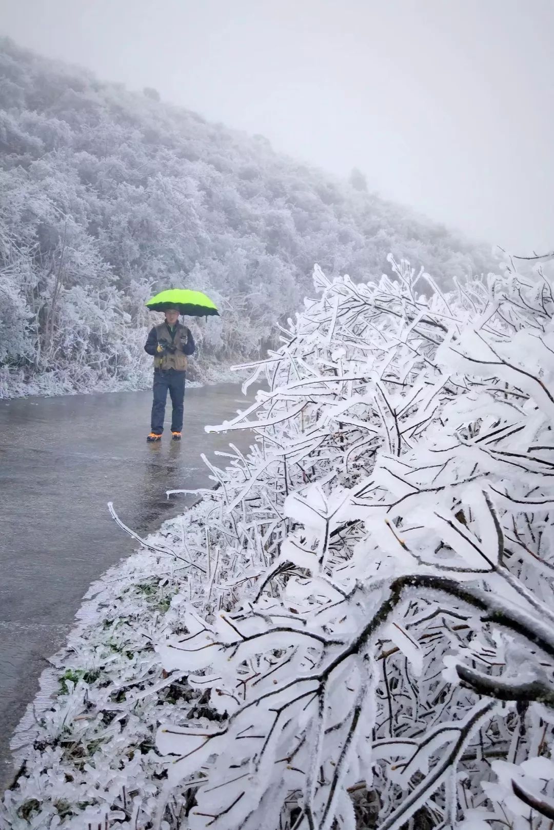 湖南永州下雪图片