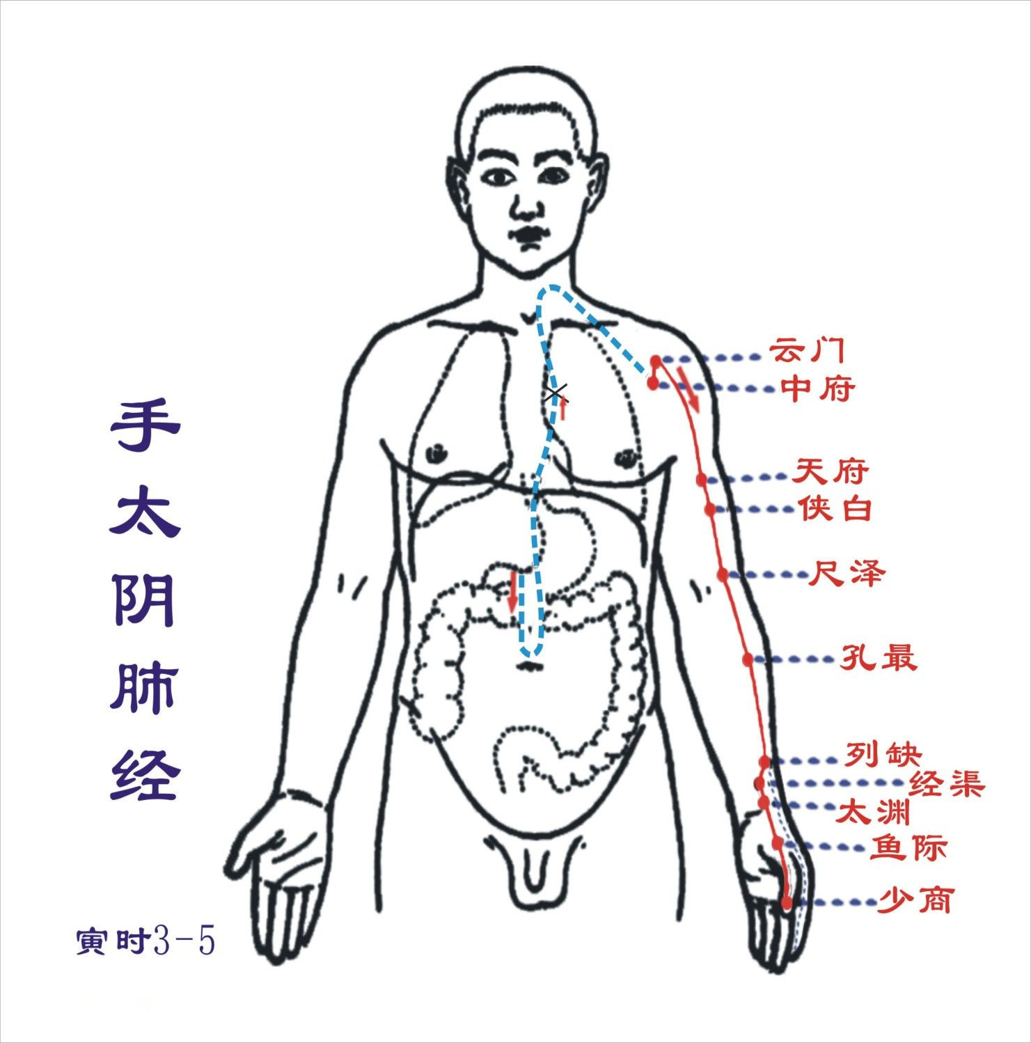 在我们手腕处还有一节地方可以快速缓解因为慢咽引起的咽干咽痒等咽喉