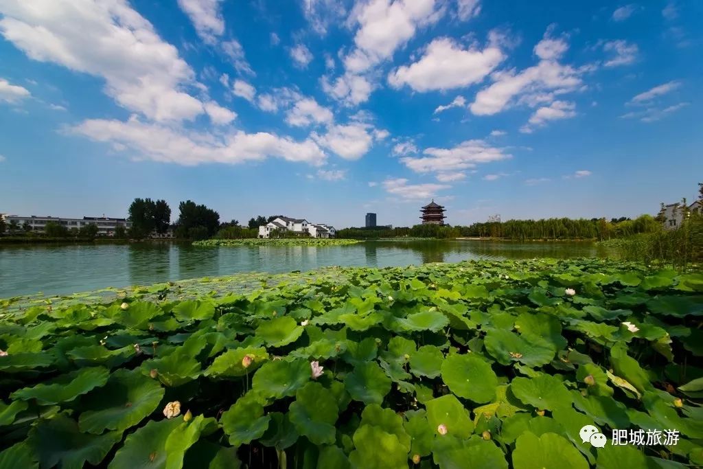 肥城市旅游景点大全图片