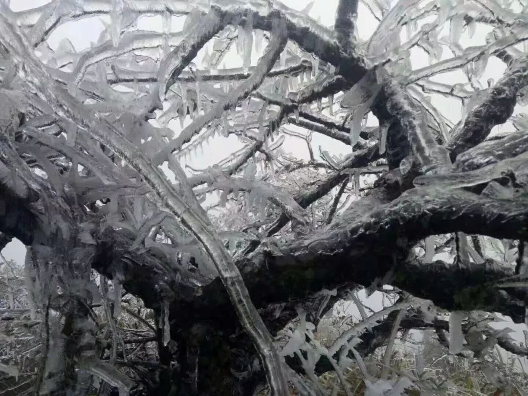 赣县宝莲山雪景图片