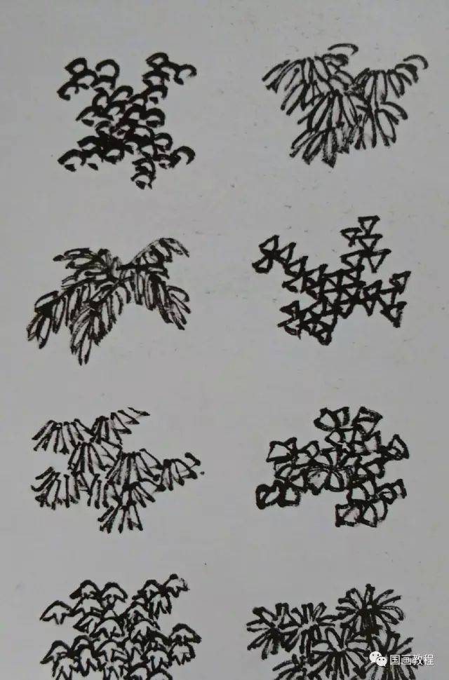 树枝树叶画法图片