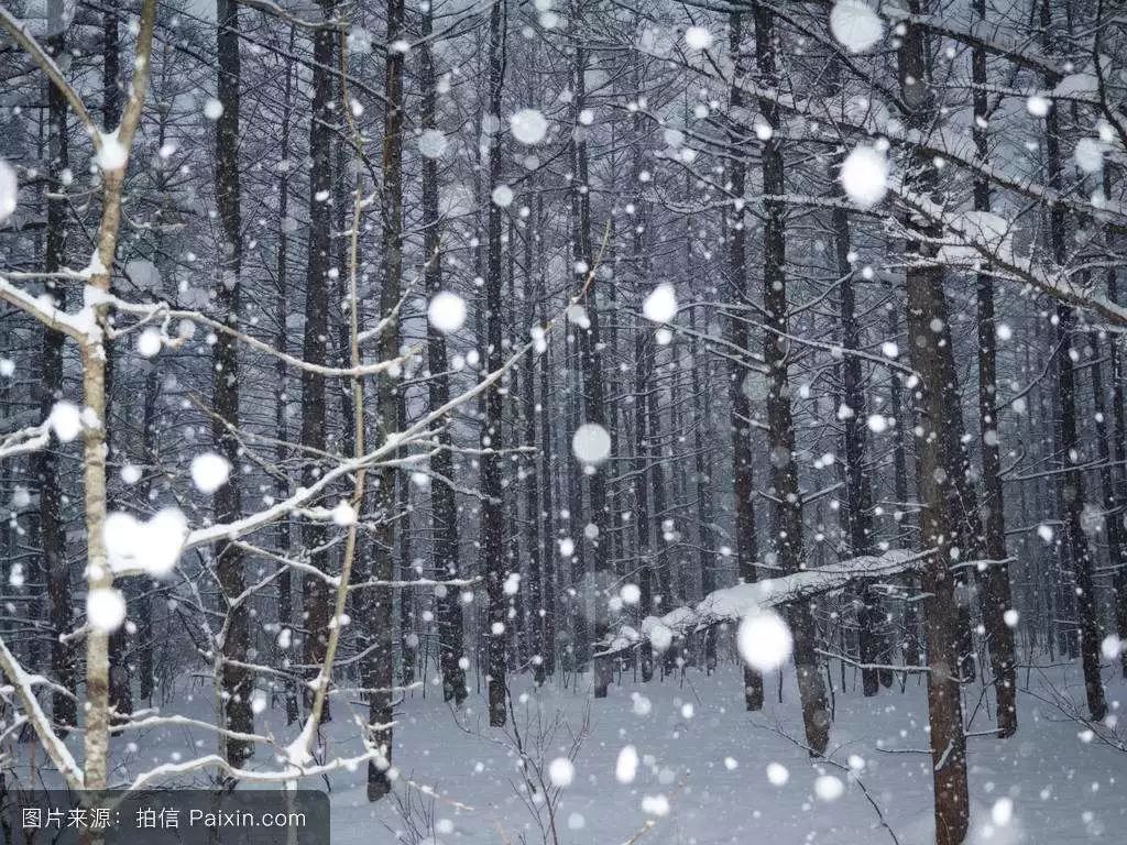 今我来思,雨雪霏霏