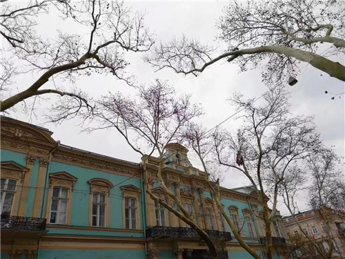 “一带一路”王新元全球艺术巡展（乌克兰站）将于近日开幕