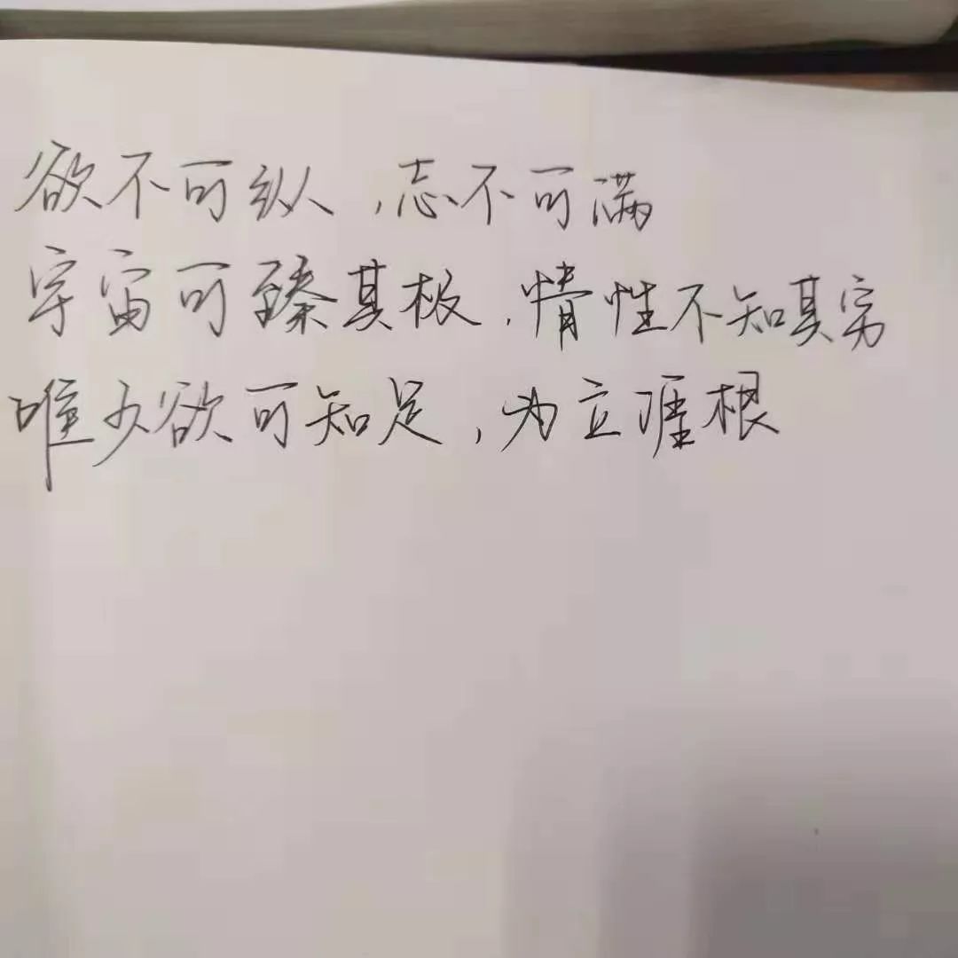 欲不可纵,志不可满宇宙可臻其极,情性不知其穷唯少欲可知足,为立涯根