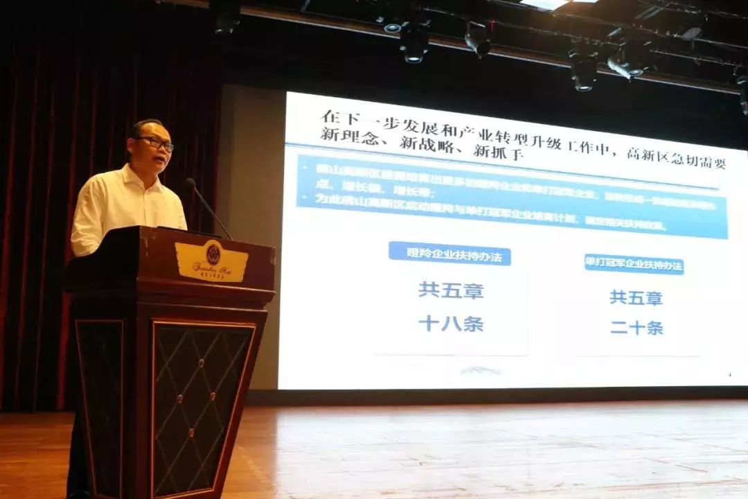 佛山高新区管委会专职副主任李满光发布佛山高新区瞪羚与单打冠军企业