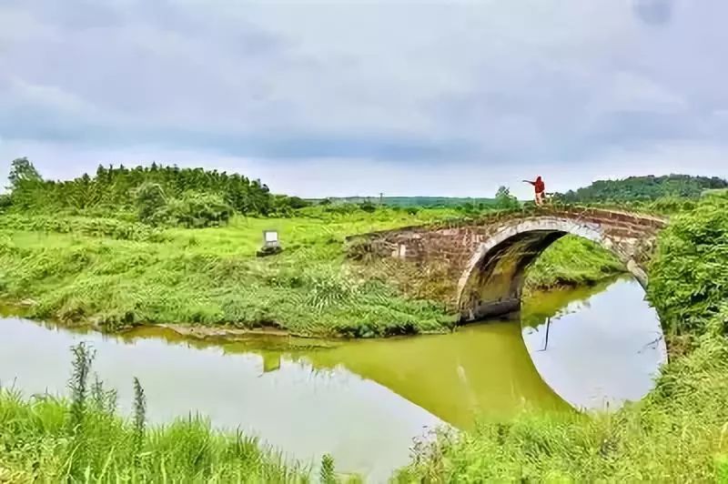 江夏這個地方入選湖北省森林城鎮,武漢僅有6個!