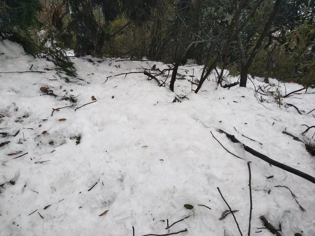 赣县宝莲山雪景图片