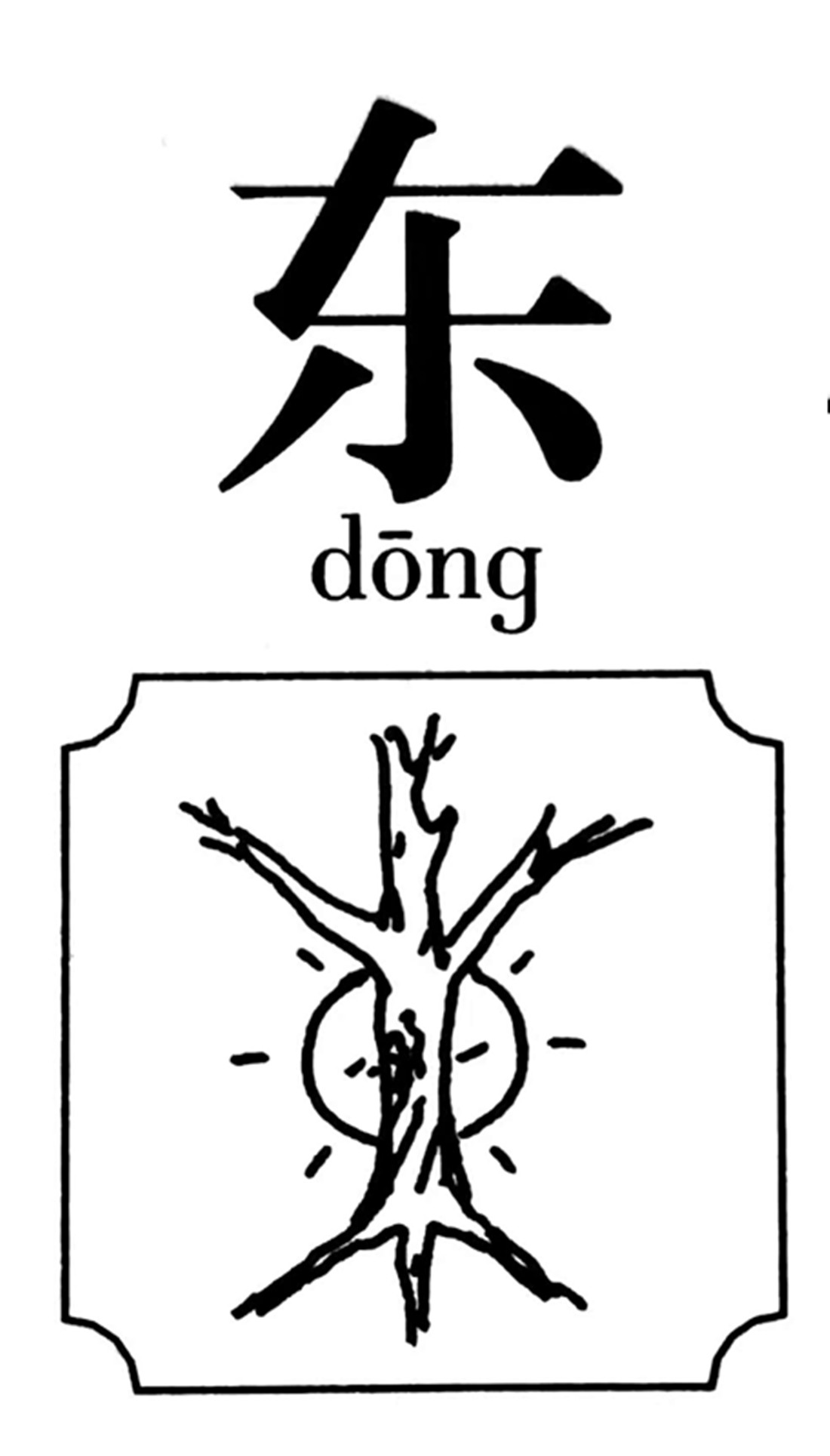 东字甲骨文图片图片